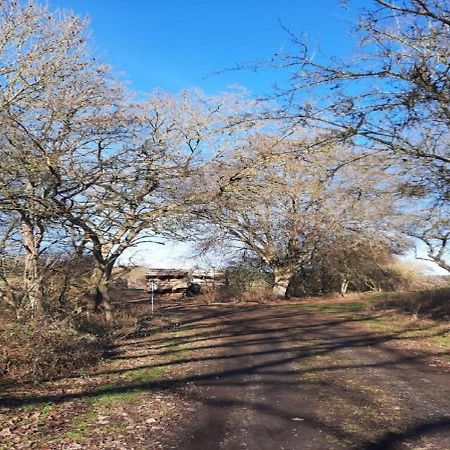 Exklusive Naturoase Direkt Am Ars Natura Wanderweg Mit Panoramablick Auf ميلسُنْغِن المظهر الخارجي الصورة